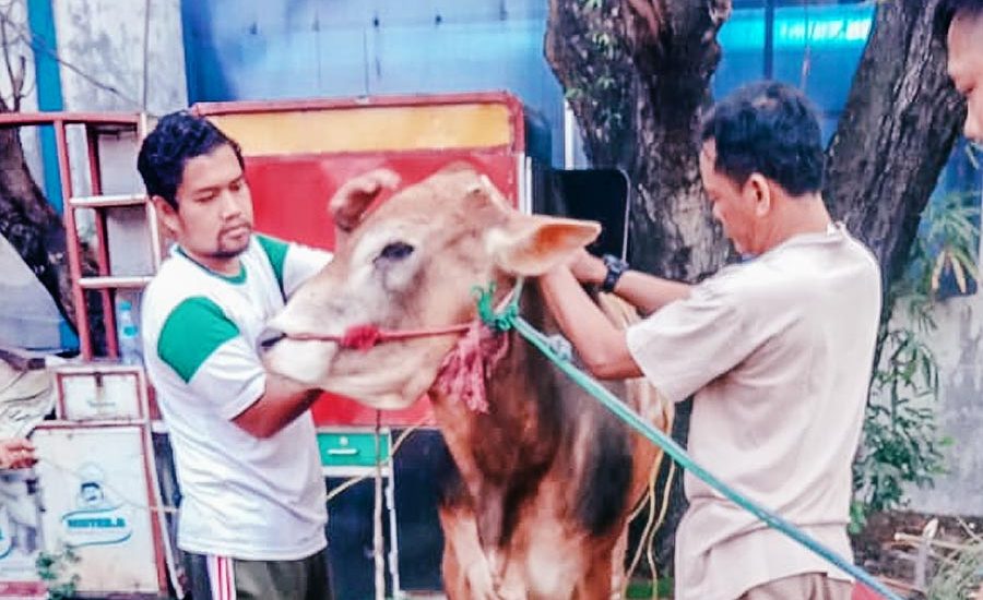 Pelatihan Juleha Surabaya: Tingkatkan Pemahaman Fiqih dan Keterampilan Untuk Qurban yang Berkualitas
